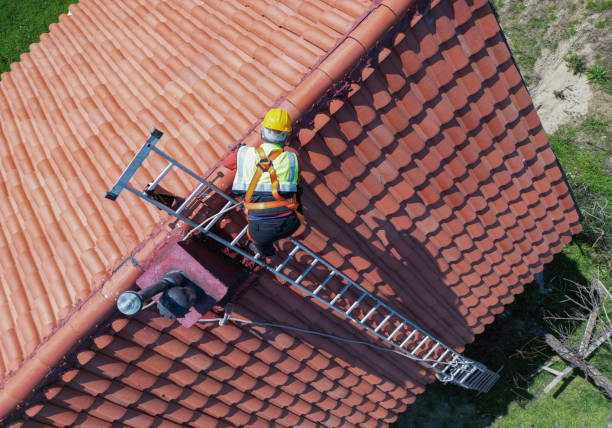 Best Chimney Flashing Repair  in Athens, MI